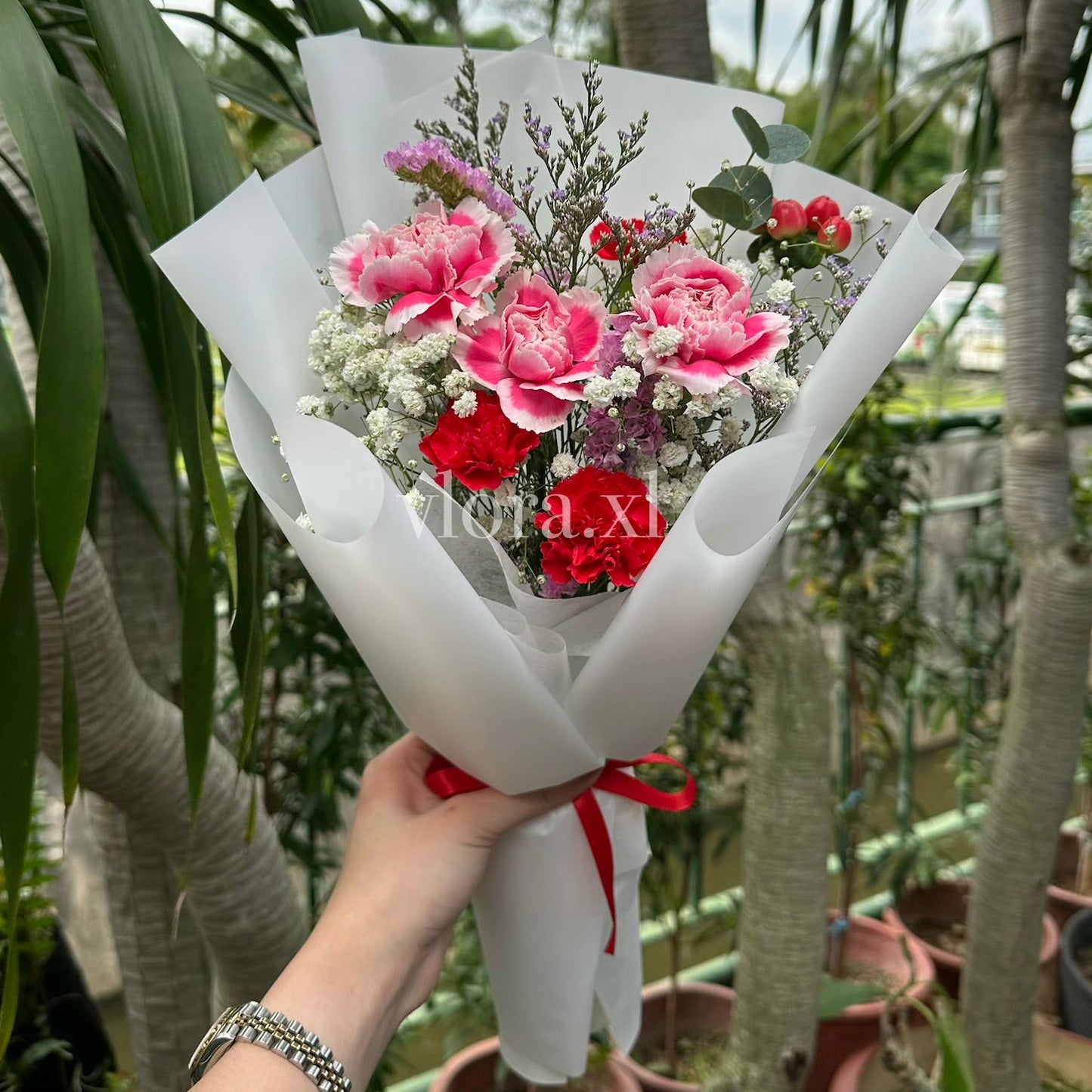 A hand holding a bouquet of pink carnations, red roses, and white baby's breath wrapped in white paper, set against a background of potted plants and trees.