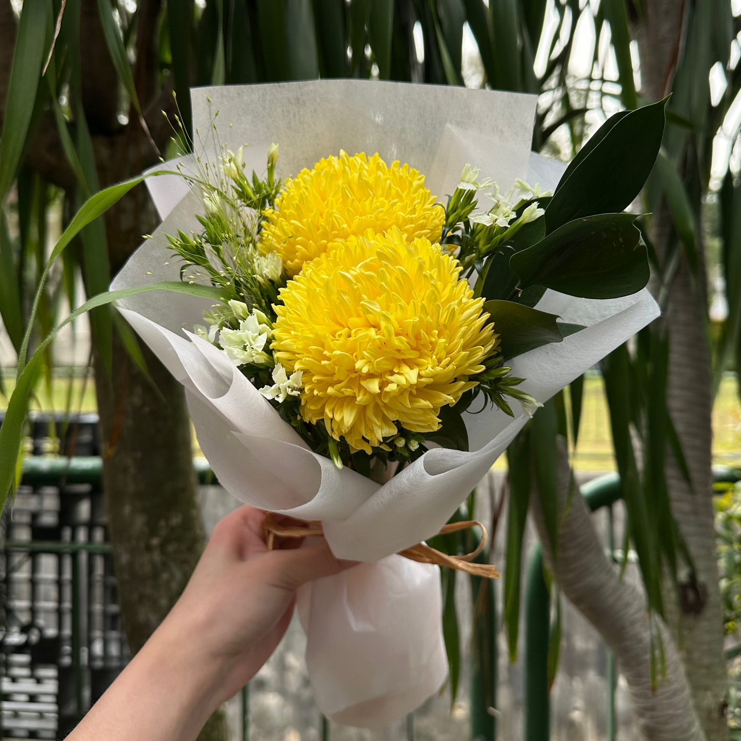 Bouquet of yellow flowers wrapped in white paper held by a hand with a green leafy background