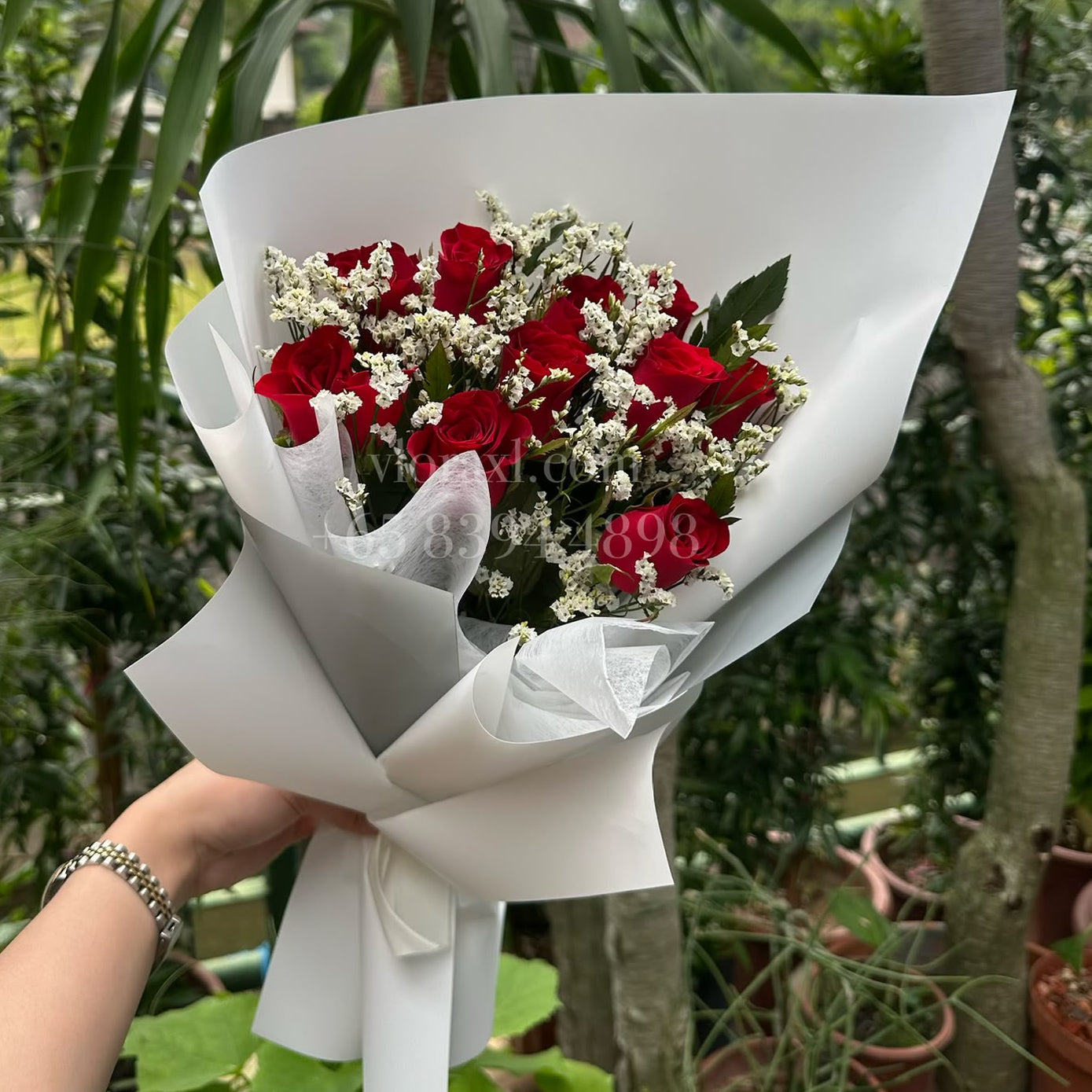 A hand holding a bouquet of red roses and white baby's breath flowers wrapped in white paper, set against a lush green garden background.