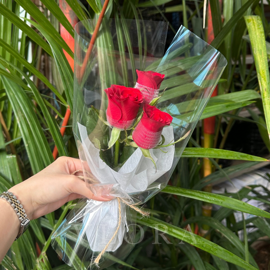 Bouquet of red roses wrapped in clear plastic held by a hand with green plants in the background