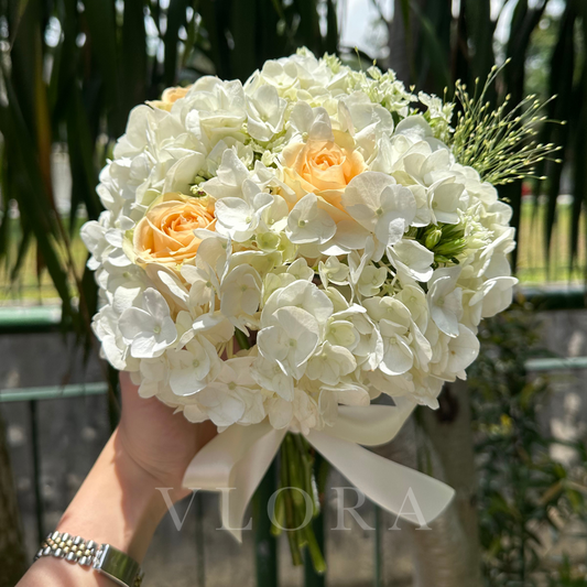 A bridal bouquet, white Hydrangeas, Champagne Roses, tied with a white bow.