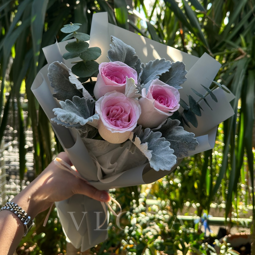 Bouquet of pink roses and silver foliage held by a person with a blurred green background