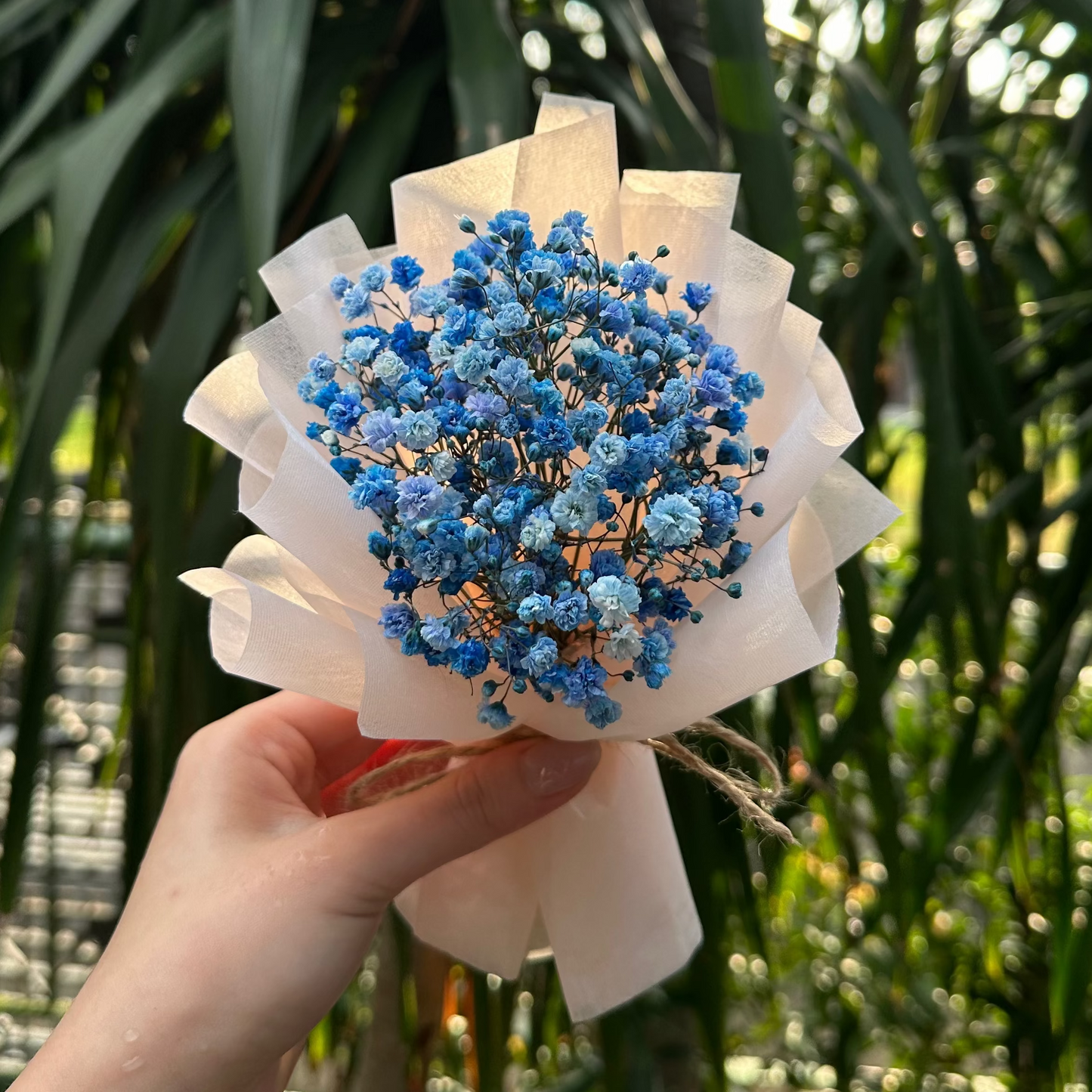 Hand holding a small bouquet of blue Baby's breath flowers with greenery in the background