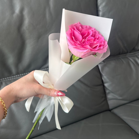 A single pink rose wrapped in white paper with a white ribbon, presented in a hand.