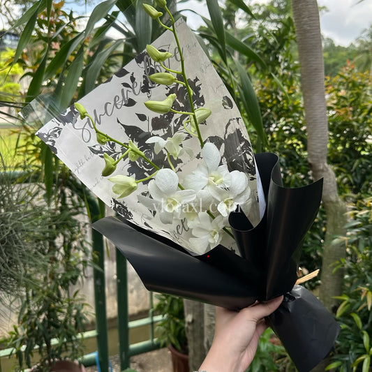 Moonlit Orchid