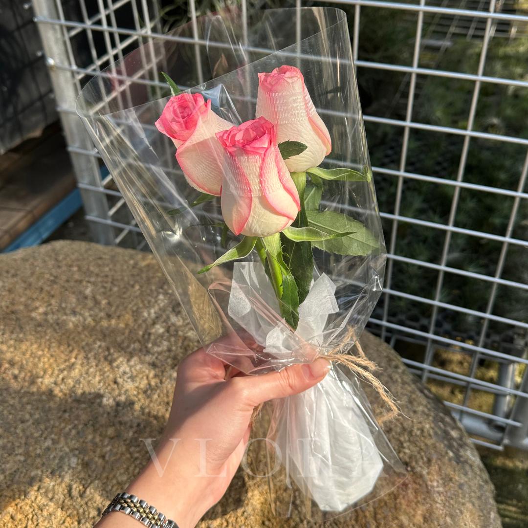 Hand holding a bouquet of pink roses wrapped in clear plastic with a wire fence in the background.