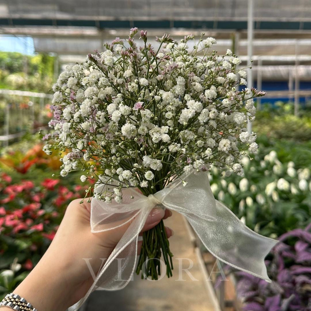 bridal Bouquet of white flowers with a sheer ribbon held by a hand in a greenhouse setting.