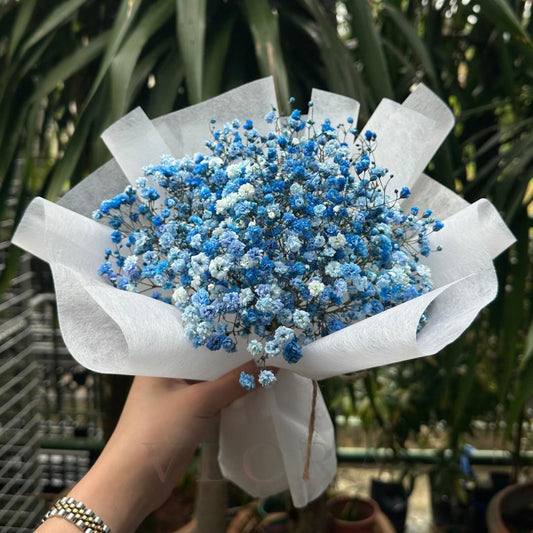 Blue Lace