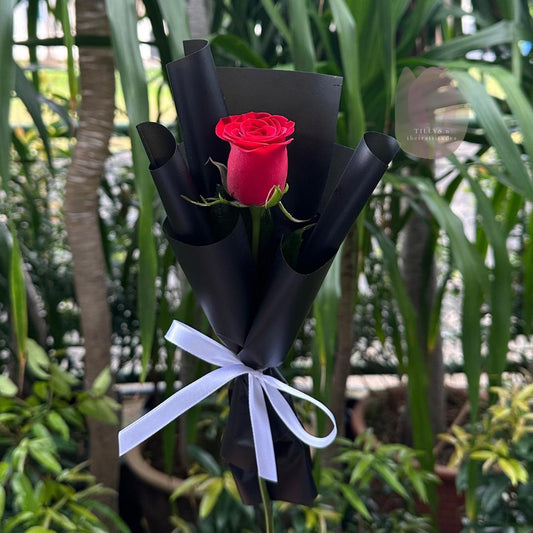 Bouquet of a red rose wrapped in black paper with a white ribbon, set against a green foliage background.