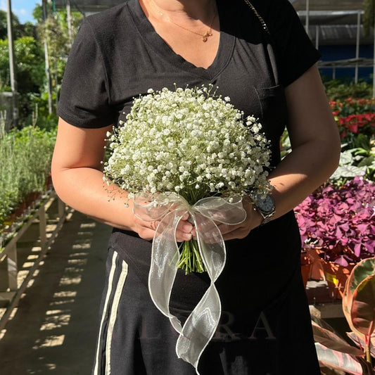Person holding a bridal bouquet of white  Baby's breath flowers with a garden background