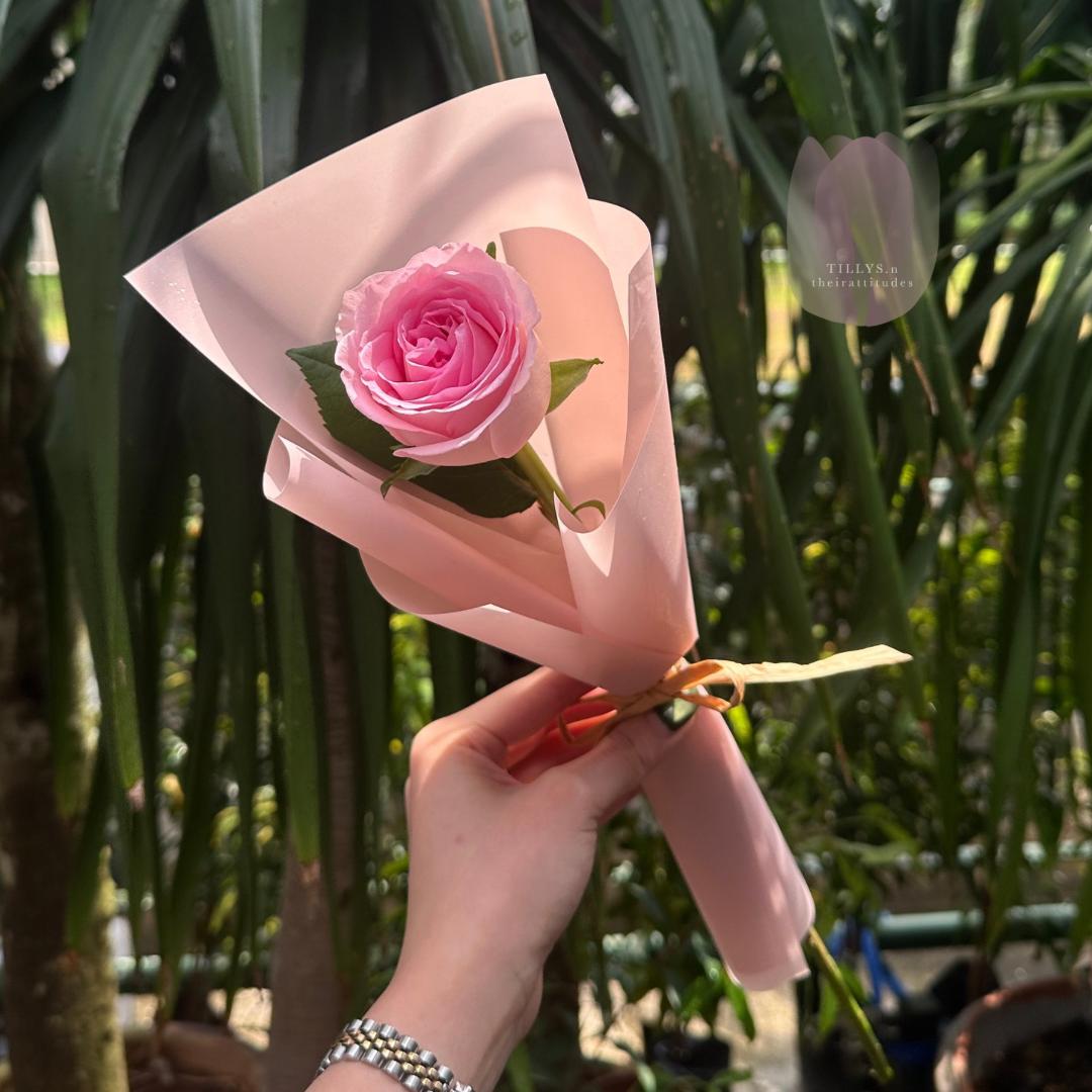 Hand holding a pink rose wrapped in pink paper against a green leafy background