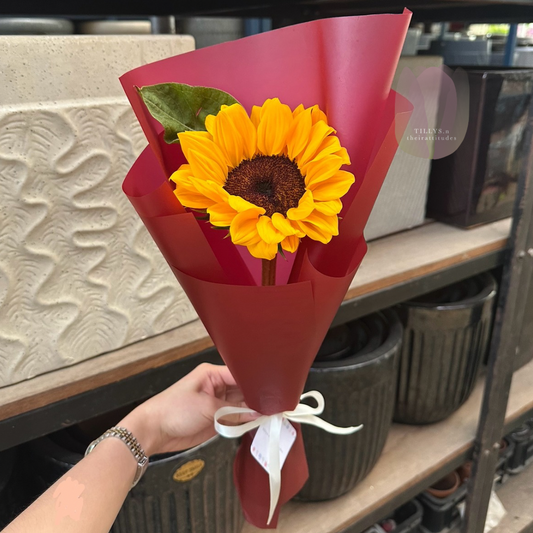 Sunflower bouquet wrapped in red paper with a white ribbon, held by a person.
