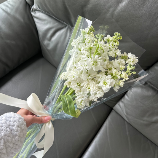 A bouquet of white Mattiola blooms wrapped in translucent blue paper, being held by a person with a grey sofa in the background.