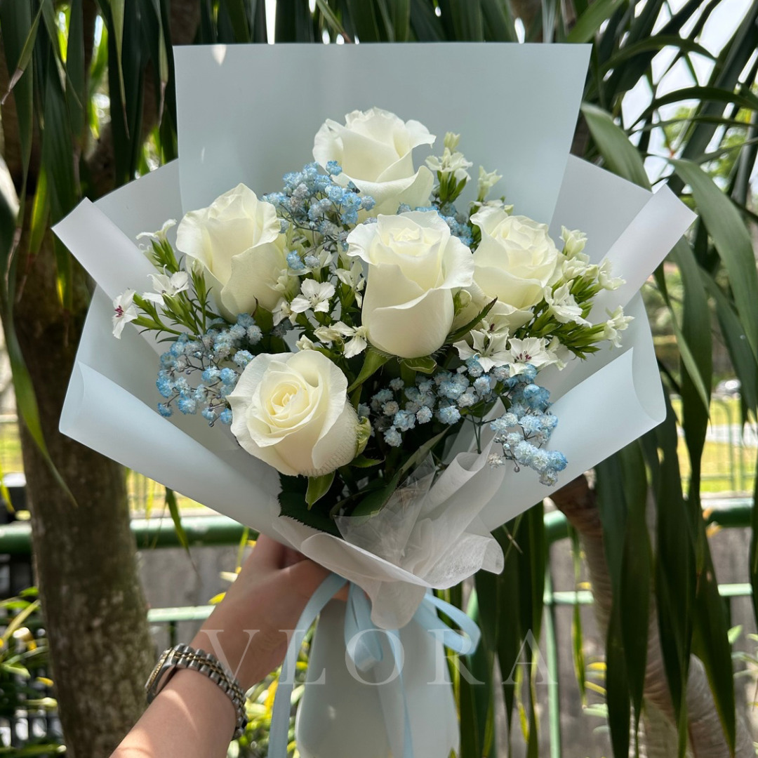 Bouquet of white roses with blue accents held against a green leafy background